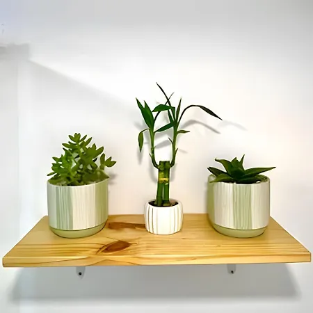 / Apartamento